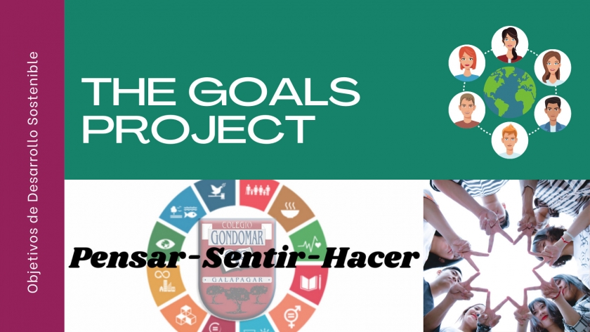 The Goals Project